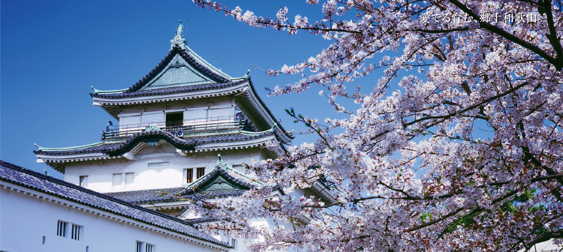 愛でる育む、郷土和歌山。