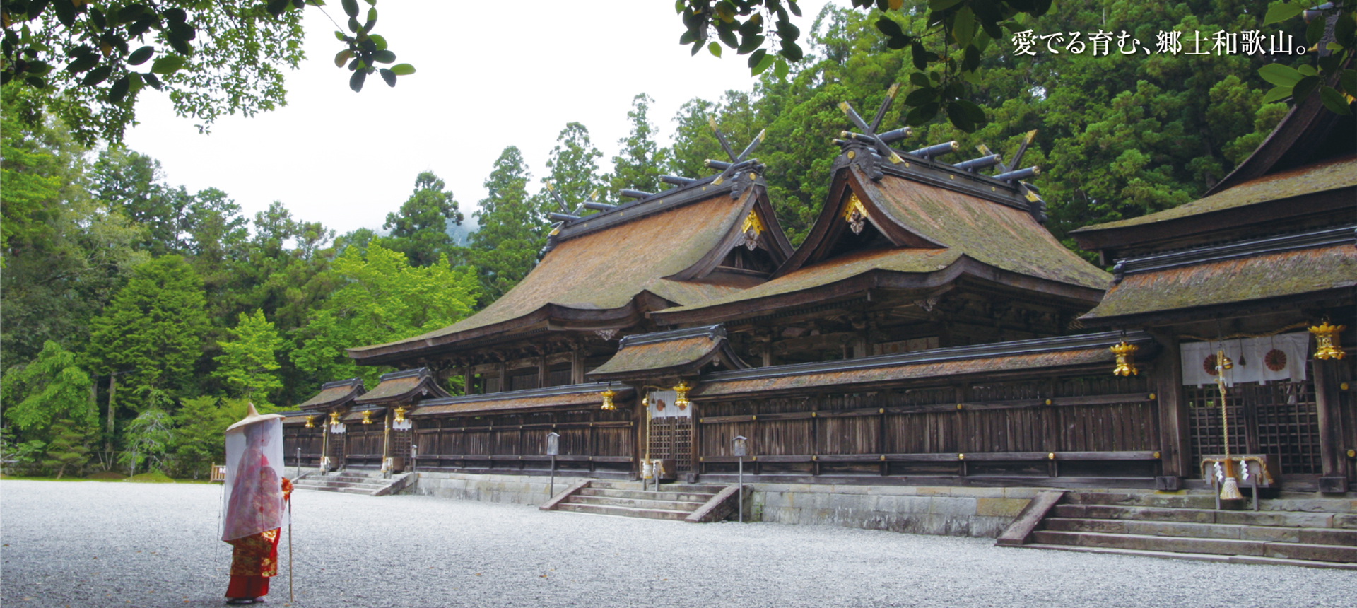 愛でる育む、郷土和歌山。