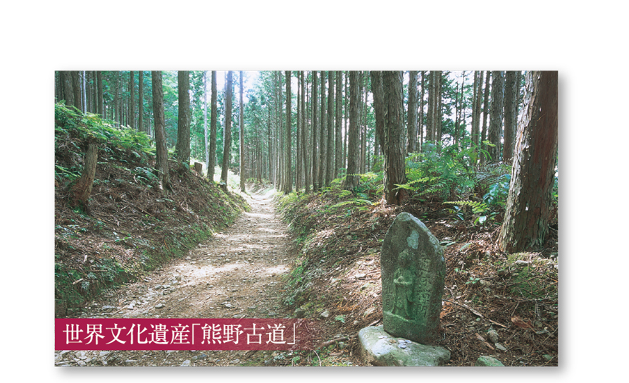 世界文化遺産「熊野古道」