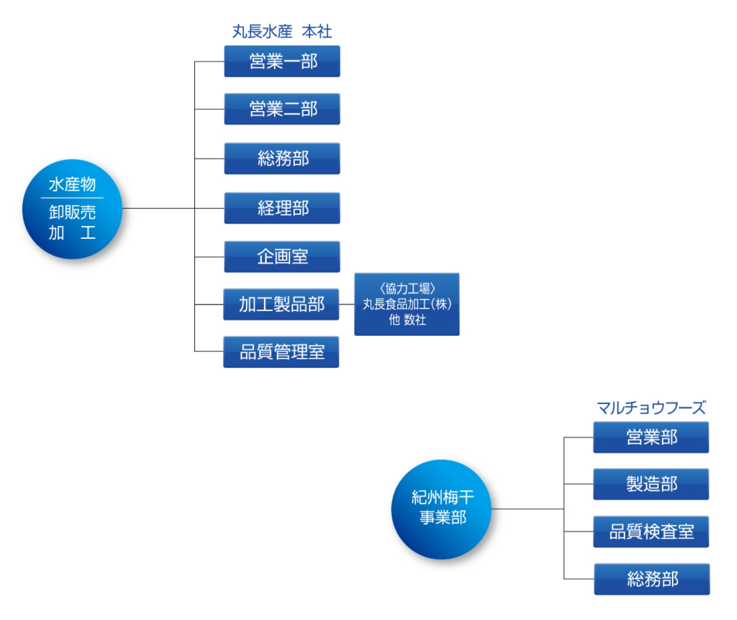 丸長水産グループ