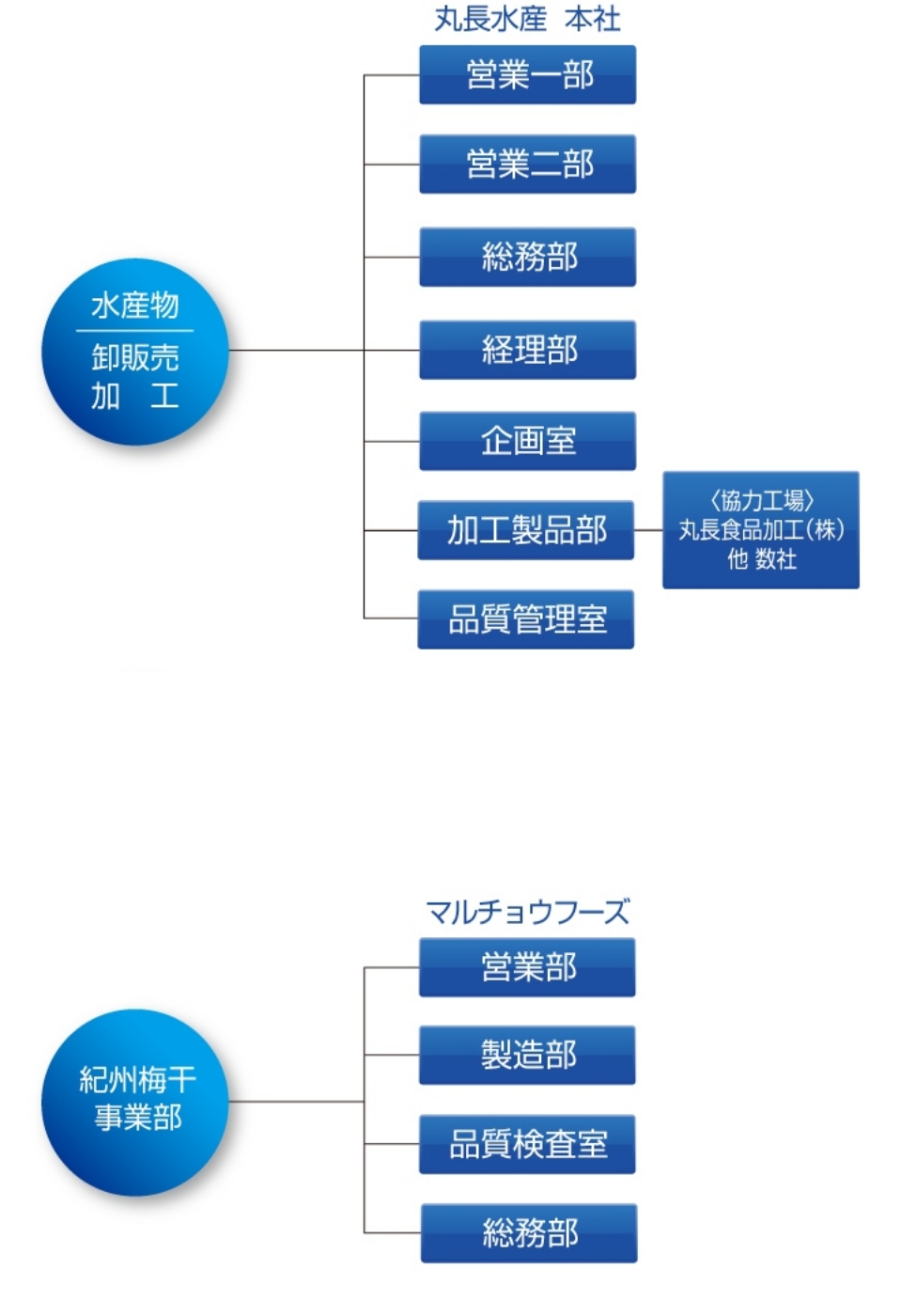 丸長水産グループ